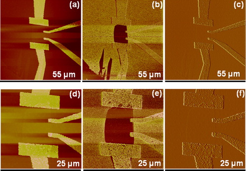 Figure 3. Typical atomic force microscopy (AFM) images of single-layer graphene field-effect transistor after annealing at a temperature of 500°C at H2 + Ar atmosphere: aand d height profile image, b and e phase image, and c and f amplitude error image