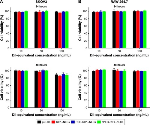 Figure 7 Cytotoxicity of various empty NLC samples in SKOV3 (A) and RAW 264.7 (B) cell lines at different DiI-equivalent concentrations.Note: Data represent the means±SD (n=3).Abbreviations: NLC, nanostructured lipid carrier; pNLCs, plain NLCs; RIPL-NLCs, RIPL peptide-conjugated NLCs; PEG-RIPL-NLCs, PEG-modified RIPL-NLCs; cPEG-RIPL-NLCs, cleavable PEG-modified RIPL-NLCs.