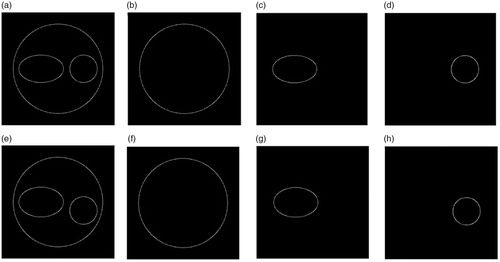 Figure 4. Binuclear cell contour images. (a) The edge-strength of the phase image in x-z plane, (b–d) the contours of the cell membrane, ellipsoidal nucleus and spherical nucleus, (e–h) the corresponding results in x-y plane.
