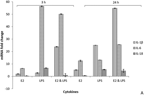 Figure 3. Cytokine mRNA expression profiles from real-time qRT-PCR analyses of hepatocytes of treated hens compared to baseline levels and controls at 3 h and 24 h post-treatments. E2 = oestrogen-treated; LPS = LPS-treated; E2 & LPS = E2- and LPS-treated. All Ct values were corrected using the housekeeping gene 28S, and time point 0 was used as the calibrator. Values are expressed as mean ± SEM fold change relative to control (data are pooled for all controls: not treated, corn-oil treated and PBS-treated birds). Error bars show SEM from triplicate samples (n = 16) from two separate qRT-PCR experiments (P < 0.01, unpaired t-test).