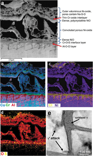 Figure 5. (a) HAADF-STEM image of corrosion products in the vicinity of a salt ring feature. (b–d) EDS maps showing outward growth of porous and dense NiO layers above a chromium rich oxide/sulphate formed on the alloy surface and Cl-O attack of the γ matrix network and (e) HAADF STEM image showing oxidised γ matrix (2-hour test specimen).