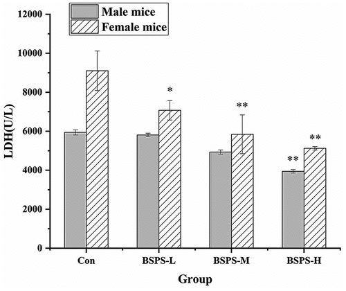 Figure 6. Effect of the BSPS-H on the activity of lactic acid dehydrogenase in mice. Values are represented as means ± SD (n = 6). *p < .05 when compared to the control group. **p < .01 when compared to the control group.