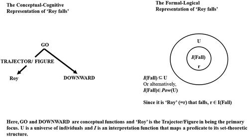 Figure 1. The conceptual-cognitive representation of ‘Roy falls’ juxtaposed with the formal-logical representation.