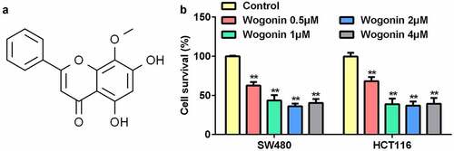 Figure 1. Effect of wogonin on the survival of CC cells.