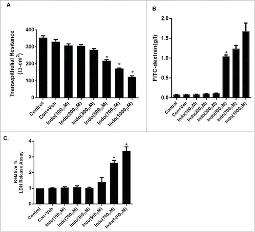 Figure 1. Concentration response curve for indomethacin-induced loss of barrier function in the MKN-28 cell line. (A) Indomethacin (100 µM-1 mM) decreased TER in a concentration-dependent manner. Indomethacin concentrations of 500 µM, 700 µM, and 1 mM reduced the TER significantly at 24-hours post-treatment. *p < 0.05. (B) Indomethacin (100 µM-1 mM) increased the FITC dextran flux in a concentration dependent manner. Indomethacin concentrations of 500 µM, 700 µM, and 1 mM increased FITC dextran flux significantly at 24-hours post-treatment. *p < 0.05. (C) Examination of indomethacin-induced cell toxicity by LDH release assay. Indomethacin concentrations of 700 µM, and 1 mM caused significant increase in LDH release 24-hours post-treatment, whreas there was no increase in LDH in cells exposed to 500 µM over the same time period. *p < 0.05. These data are represented as the average of more than 3 identically treated monolayers, from 3 independent experiments.