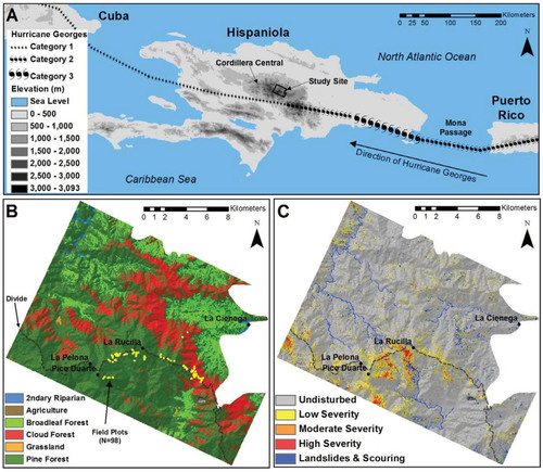 FIGURE 1. (A) Track of Hurricane Georges across Hispaniola (CitationNOAA, 2009), (B) land cover of the site and locations of hurricane-recovery field plots collected in 2010, and (C) composite disturbance map of the site showing wind damage severity as well as landslides and stream scouring.