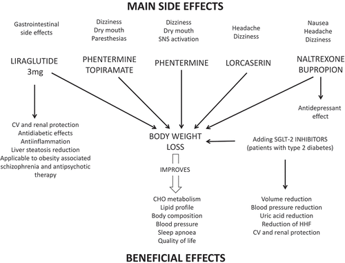 Figure 1. Beneficial and main side effects of approved new anti-obesity medications. CHO: carbohydrate; CV: cardiovascular; HHF: hospitalization for heart failure; SNS: sympathetic nervous system.
