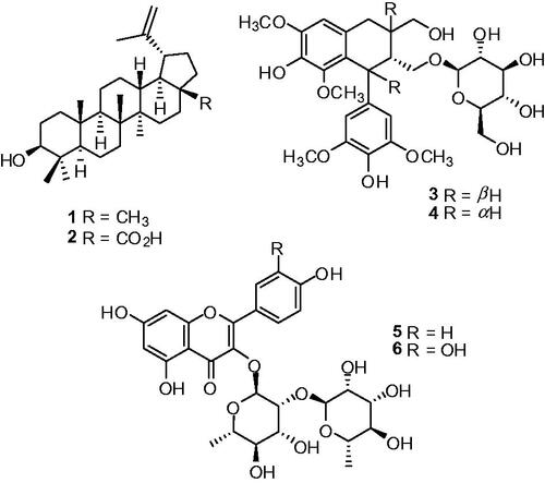 Figure 1. Structures of isolated compounds (1-6) from active fractions D and G of Z. rugosa.