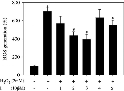 Figure 5. Effect of compounds 1–5 on intracellular ROS generation in H2O2-treated H2P2G cells (The results are presented as the means ± SDs of three replicates of on represent experiment. *p < .05 vs. negative group, #p < .05 vs. positive group).