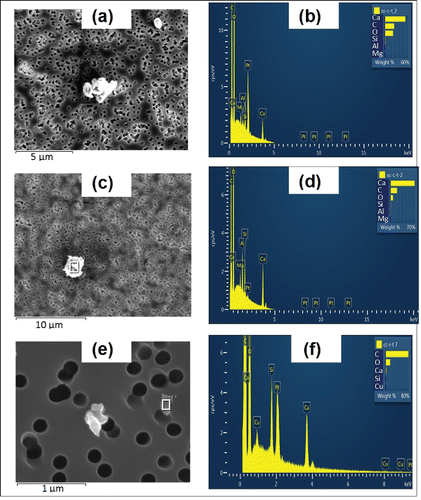 Figure 8. SEM images and EDX of airborne paper particles: (a) coated paper by cross cut; (b) EDX of (a), Pt, Si, Al, Mg, Ca, C; (c) coated paper by straight cut; (d) EDX of (c), Si, Al, Mg, Pt, Ca, C; (e) regular paper by cross cut; (f) EDX of (e), Si, Pt, Ca, C.