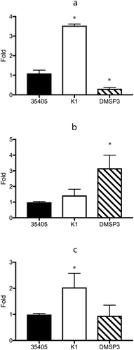 Figure 4. Gene expression of the potential regulator proteins in wild type (35405), msp-deficient mutant (DMSP3), and prtP-deficient mutant (K1). Gene expression levels were evaluated using qRT-PCR with a Taqman probe. The expression of TDE_0127 (a), TDE_0344 (b), and TDE_0814 (c) are presented as fold-change with respect to that of the wild type strain. Data are presented as means ± SD (n = 6), and statistically significant differences are indicated by asterisks (one-way ANOVA with Dunnett’s multiple comparison test; *p < 0.05 compared to wild type).