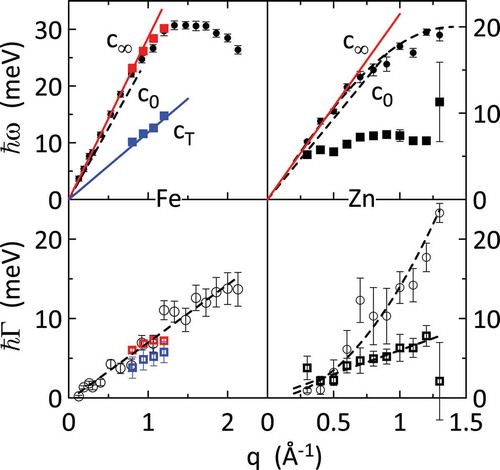 Figure 5. Dispersion relations (upper panels) and damping (lower panels) of the collective excitations measured in liquid Fe by x-ray scattering [Citation80,Citation121] and in liquid Zn [Citation81] by neutron scattering. Two series of data are reported for liquid Fe: only the longitudinal mode (black symbols) is visible in the first series of data [Citation80], while both longitudinal (red squares) and transverse (blue squares) modes are reported from [Citation121]. Liquid Zn shows both longitudinal (circles) and transverse (squares) modes. The ordinary sound velocity c0 and the fast sound c∞ associated to the longitudinal acoustic mode are plotted for both Fe and Zn. The transverse velocity cT is shown for Fe only