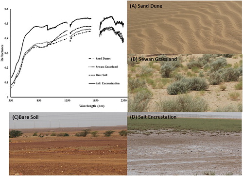 Figure 2. Soil spectral signatures in and around Pokhran, Jaisalmer Rajasthan. (A) sand dune, (B) sewan grassland, (C) bare soil and (D) salt encrustation.