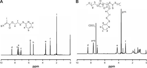 Figure 3 1H NMR spectrum of DS monomer and PGDS copolymer.Notes: 1H NMR spectrum of DS monomer (A) and PGDS copolymer (B) in CDCl3.Abbreviations: DS, N-(2-(2-pyridyl disulde) ethyl methacrylamide; PGDS, mPEG-b-PDS.