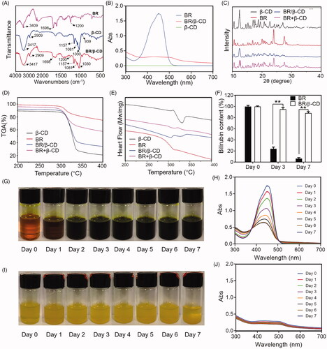 Figure 1. Characterization of BR/β-CD (A) FTIR spectra, (B) UV spectra, (C) XRD, (D) TGA, and (E) DSC of BR, β-CD, BR/β-CD, and BR + β-CD (the mixture of BR and β-CD). (F) Bilirubin content of BR and BR/β-CD after standing for 7 days. The recorded appearance images of (G) BR and (H) corresponding UV spectra in 7 days. The recorded appearance images of (I) BR/β-CD and (J) corresponding UV spectra in 7 days. **p < 0.05 compared to the BR solution group.