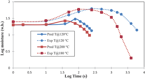 Figure 9. Predicted points of moisture content (continuous lines) of a single corn kernel compared with the experimental points of moistures content of a distiller’s spent grain (dotted lines) using superheated steam (Ramachandran, Citation2019).