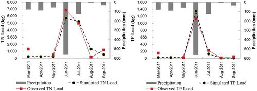 Figure 7. Simulated and observed nutrient loads at Shengli outlet, at a monthly time step. TN: total nitrogen; TP: total phosphorus.