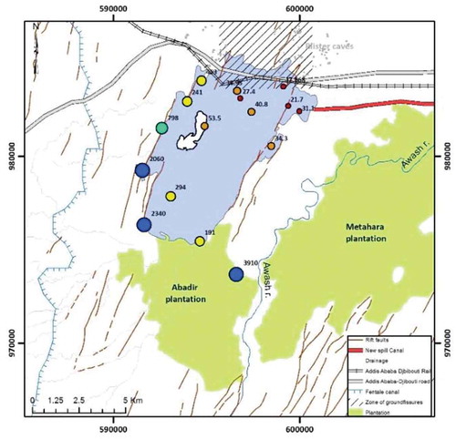 Figure 5. 222Rn pattern in the Lake Beseka water surface (measurement from 2014)