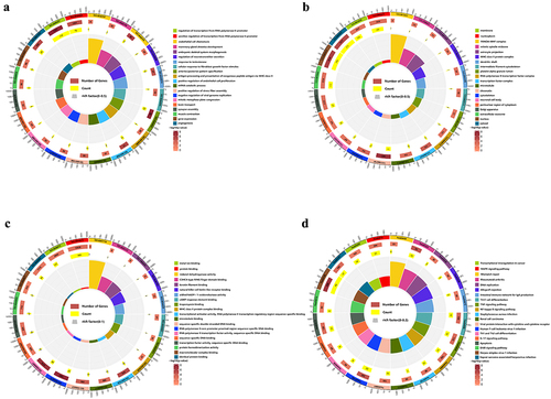 Figure 7. Enrichment analysis of target genes with differentially m6A methylated lncRnas. (a) GO biological processes enrichment analysis. (b) GO cellular component enrichment analysis. (c) GO molecular function enrichment analysis. (d) KEGG enrichment analysis.