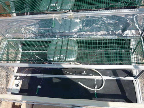 FIGURE 3 ESTV solar dryer. (Figure is provided in color online.)