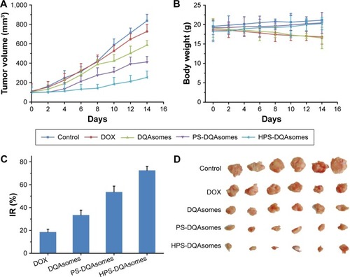 Figure 8 In vivo antitumor activity of different DOX-loaded formulations.Note: (A) Tumor volume, (B) body weight, (C) IR (%) and (D) the images of tumor section of different drug-treated groups (n=6).Abbreviations: DOX, doxorubicin; DQA, dequalinium; IR, inhibition rate; HPS, HER-2 peptide-PEG2000-Schiff base.