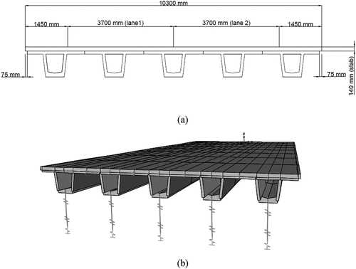 Figure 1. Super-T girder bridge at Boronia Road (a) actual cross-section (b) FE model by CSiBridge.