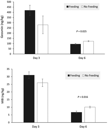 Figure 3. Geosmin and MIB concentrations in Atlantic salmon flesh from feeding and fasting treatments on days 3 and 6 of the depuration period (mean ± standard error; n = 4 depuration systems).