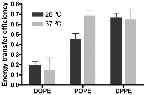 Figure 5. FRET efficiency between W151 and Pyr-PE head-labeled in different lipid matrices at 25 °C (black columns) and at 37 °C (grey columns). Proteoliposomes (1.5 μM LacY) of DOPE:POPG 3:1 (mol:mol), POPE:POPG 3:1 (mol:mol) and DPPE:POPG 3:1 (mol:mol) were doped with x = 0.0025 of label. The error bars stand for σ/√n, σ being the standard deviation and n the number of measurements performed. Reprinted with permission from Suárez-Germà et al. (Citation2013). © 2013 American Chemical Society.