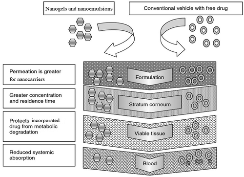 Figure 1. Comparison of penetration of nanocarriers and conventional dosage forms