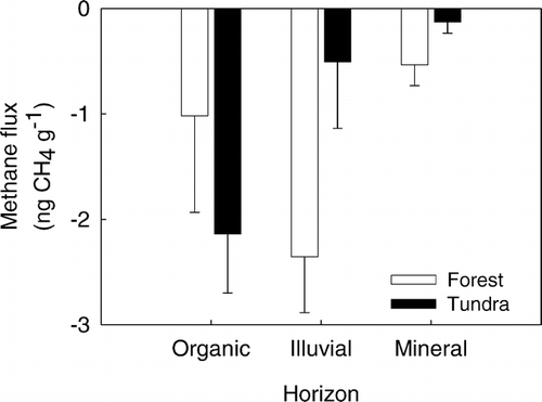 Figure 2 Depth distribution of methane uptake rates in soils from tundra heath and mountain birch forest. The illuvial layer is here a thin profile characterized by organic material transported into the mineral soil. Negative values indicate methane uptake. Mean values ± SE are shown.