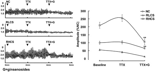 Figure 3. Effects of ginsenosides on the contractility of isolated jejunal segement (IJS) pretreated with tetrodotoxin (TTX). Contractile amplitude of IJS in the normal contractile state is set to a relative value of 100% (normal control, NC). Other data are the relative values compared with NC. Data are expressed as the mean ± SEM (% NC, n = 6); *p < 0.05, **p < 0.01 compared with contractile amplitude of IJS after treatment with TTX (0.1 µmol/L). RLCS: Representative low contractile state; RHCS: Representative high contractile state.