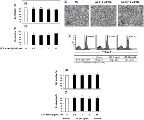 Figure 1. Effect of LZ-8 on the cell viability (a), cytotoxicity (b), cellular morphology (c) and expression of ionized calcium-binding adapter molecule-1 (Iba-1) (d) in regular murine microglial BV-2 cells; and on the cell viability (e), cytotoxicity (f) in LPS-stimulated BV-2 cells. To examine cellular proliferation and cytotoxicity, cells were incubated in medium supplemented with different concentrations of LZ-8 (0, 0.5, 1, 5 or 10 μg/mL) for 24 h (regular), followed by LPS stimulation (0.1 µg/mL) for 16 h (LPS-stimulated). The MTT and LDH activity assays were used to evaluate cell viability and cytotoxicity of both experimental groups (regular and LPS-stimulated) of cells, respectively. To examine cellular morphology, BV-2 cells were incubated in medium supplemented with none, 5 or 10 μg/mL of LZ-8 for 24 h, and photographed under an inverted microscope (× 400). To examine the expression of Iba-1 in BV-2 cells, control and LZ-8-treated cells were (2 × 104 cells) determined by flow cytometry with fluorescein isothiocyanate-conjugated anti-mouse Iba-1. The bars or numbers indicate the mean ± SD of three independent experiments. The values with different letters are significantly different at p < .05.