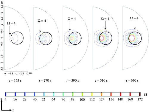 Figure 9. Coronal views of the thermal damage contours at different time instants, when the blood perfusion rate is assumed temperature-dependent.