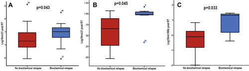 Figure 4 Mann–Whitney U-test demonstrating the differences in the distributions of (A) miR-21 fold change of expression post RT, in the high risk subgroup among those who experienced relapse and those without relapse, (B) mir21 and (C) miR-106b fold change of expression post RT, in the subgroup of salvage-treated among those who experienced biochemical relapse compared to those without relapse.