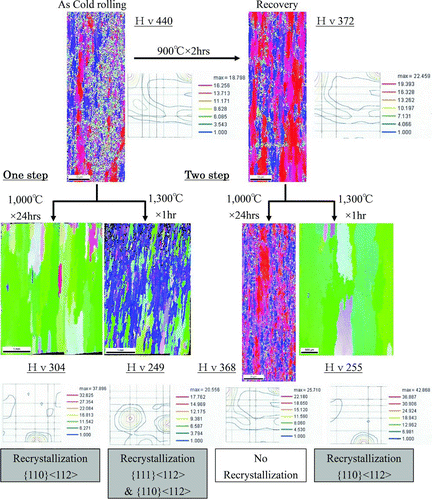 Figure 7 OIM of 15Cr ODS ferritic steel plate after each heat treatment