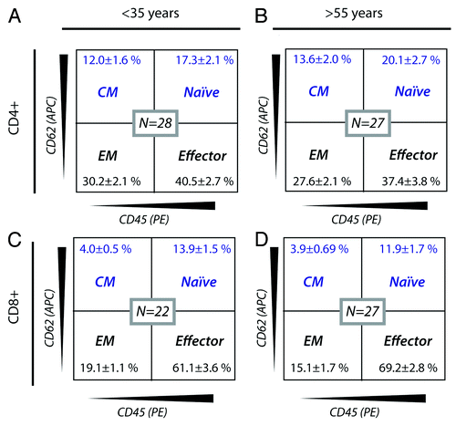 Figure 1. Distribution of CD45+CD62L+ (naïve), CD45+CD62L- (effector), CD45-CD62L- (effector memory, EM), and CD45-CD62L+ (central memory, CM) T lymphocytes in peripheral blood mononuclear cells. Percentage of each subset is stated as the mean ± SEM. The number of donors included in each analysis is stated as N. Experimental protocols and other data from these analyses were reported earlier by Rosenberg et al.Citation1 (A and B) CD3+CD4+ (A) and CD3+CD8+ (B) T lymphocyte subset distribution in donors younger 35 y. (C and D). CD3+CD4+ (C) and CD3+CD8+ (D) T lymphocyte subset distribution in donors older 55 y.