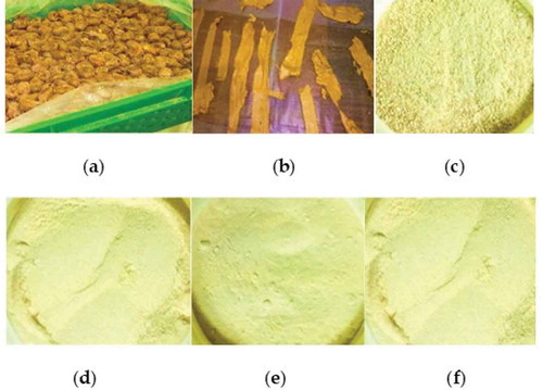 Figure 1. A digital image of: (a) whole Sukkari date fruit (b) dried date paste slices (c) coarse Sukkari date powder (SDP) (d) moderately fine SDP (e) fine SDP (f) very fine SDP.Figura 1. Imagen digital de (a) fruta entera del dátil Sukkari (b) rebanadas de pasta de dátil seca (c) polvo de dátil Sukkari grueso (SDP) (d) SDP moderadamente fino (e) SDP fino (f) SDP muy fino