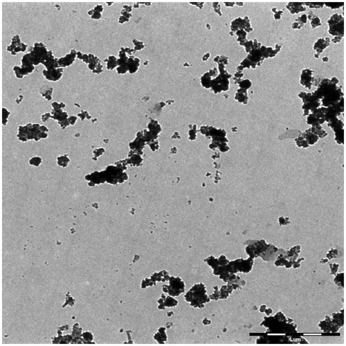 Figure 11. A typical TEM image of PEG1500-PMNPs after heating at 50 °C. Melting of the polymeric shell resulted in formation of large nanoparticle aggregates in the solution. Numerous individual nanoparticles detached from the initial agglomerates were also observed in the solution.