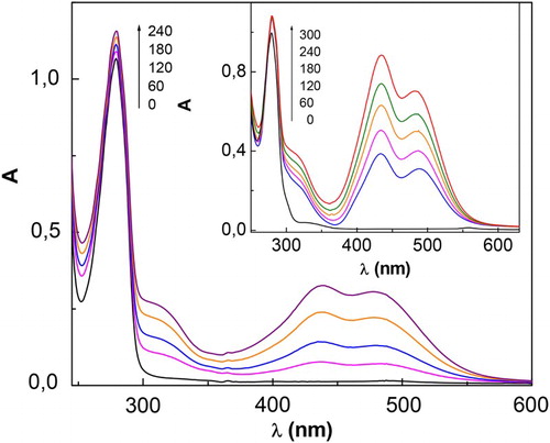 Figure 1. Spectral changes of 0.4 mM CTQ + 0.02 mM Rf vs. 0.02 mM Rf upon visible-light photoirradiation, in buffer pH 7 (main figure) and in buffer pH 9 (insert). Numbers on the spectra represent irradiation time, in seconds.