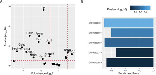 Figure 4. Differential expression and gene set enrichment analysis of differentiating Pparg-knockdown 3T3-L1 pre-adipocytes. Differential expression analysis was applied to the process data to identify regulated genes between Pparg-knockdown and control conditions. A) Fold-change (log2) and p-values (-log10) of previously identified PPARG target genes are shown. B) Differentially expressed genes were ranked by fold-change and used to calculate the enrichment score and p-values of relevant gene ontology terms. Brown fat cell differentiation (GO:0050873); positive regulation of fat cell differentiation (GO:0045600); response to lipid (GO:0033993); fatty acid oxidation (GO:0019395); nuclear receptor transcription coactivator activity (GO:0030374)