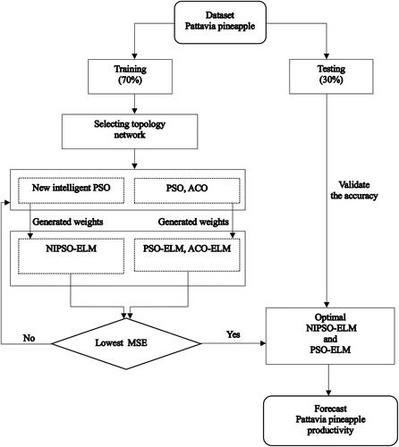 Figure 2. The framework of the optimization models for forecasting Pattavia pineapple productivity.