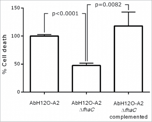 Figure 5. LIVE/DEAD assay performed with A. baumannii AbH12O-A2, AbH12O-A2ΔfhaC, and AbH12O-A2ΔfhaC complemented. T-student test were perfomed. The standard deviation is indicated by bars. Three independent replicates were done.