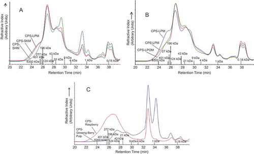 FIGURE 2 A: Molecular weight profiles of water extractable crude polysaccharides from Lapins, Skeena, and Sweetheart cherries, B: molecular weight profiles of water extractable crude polysaccharides from Lapins cherries at different maturity levels (immature edible, mature, overmature), C: molecular weight profiles of water extractable crude polysaccharides from ginseng berry pulp and raspberries. CPS--LPM: water extractable crude polysaccharide isolated from Lapins cherry variety; CPS--SHM: water extractable crude polysaccharide isolated from Sweetheart cherry variety; CPS-Cherry-SKM: water extractable crude polysaccharide isolated from Skeena cherry variety, all harvested at commercial maturity; CPS--LPIM: crude polysaccharide isolated from Lapins cherry variety harvested prior to commercial maturity; CPS--LPOM: crude polysaccharide isolated from Lapins cherry variety harvested after commercial maturity; CPS--Ginseng Berry Pulp: crude polysaccharide isolated from ginseng berry pulp; CPS--Raspberry: crude polysaccharide isolated from raspberries.