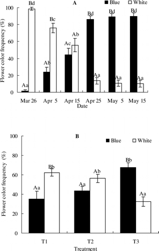 FIGURE 1 The variation in flower color frequency during the flowering season (A) and in the chambers with contrasting temperatures (B). T1, T2, and T3 refer to the chamber temperatures of 12 °C/2 °C, 15 °C/2 °C, and 20 °C/2 °C, respectively. Values are given as mean ± 1SE. Significant differences between the blue and white flowers in the same survey are indicated by different capital letters, and significant differences among different surveys for the same flower color are indicated by different lower-case letters (both are at p < 0.05 level). The sample size (N) for each color is 500 in (A) and 150 in (B), respectively.