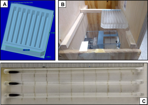 Figure 1 (A) CAD image used in the design of the “magnetically induced rotation and translation (MIRT)” trays. The lanes have rounded bottoms to simulate tubular conduits within the body. (B) Photograph of the MIRT tray mounted on a plexiglass plate, over the mini-Med magnet, in the offset above position (at a height of 20 cm). (C) Photograph of a portion of the tray, showing three lanes (or channels) loaded with MNPs at their starting points, before the initiation of the rotation and translational movement induced by activating the mini-MED. Use of the tray lanes can be used to facilitate side-by-side comparisons of different types of MNPs, MNP modifications, the addition of drugs, or alterations of the media and cells within the channels. The tray is compatible with a standard 96-well plate reader.