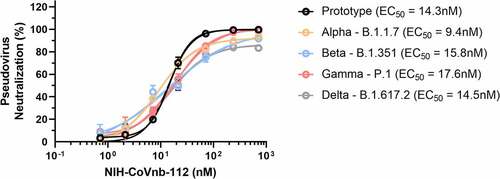 Figure 4. NIH-CoVnb-112 inhibition of SARS-CoV-2 variant pseudovirus following nebulization. HEK293 cells overexpressing human ACE2 were cultured for 24 hours with pseudotyped SARS-CoV-2 spike variant virus, pretreated with NIH-CoVnb-112 at different concentrations. Following 48 hours incubation, HEK293-ACE2 cells were analyzed by flow cytometry to quantify the fluorescence level. NIH-CoVnb-112 potently inhibited viral transduction for all variant spike pseudoviruses with the following EC50 values: Prototype (14.2 nM), Alpha (9.4 nM), Beta (15.8 nM), Gamma (17.6 nM), and Delta (14.5 nM), respectively. Curve fit parameters are detailed in Supplementary Table 3. Error bars represent the standard deviation of the mean values at each data point.