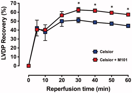 Figure 2. Recovery of LVDP (% pre-ischemic function) over 60 min reperfusion with warm (37 °C) Krebs–Henseleit bicarbonate buffer in C and C + M101 groups. *P < 0.0001 versus Celsior.