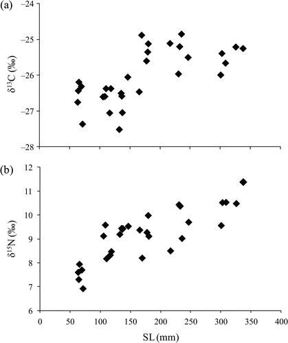 Figure 4. Relationships between standard length (SL) and (a) δ13C and (b) δ15N of largemouth bass.