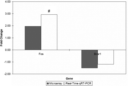 Figure 4. Gene expression fold changes of two target genes as determined by microarray and real-time qRT-PCR experiments. #P < 0.05 for gene expression fold changes quantified by real-time qRT-PCR experiments as determined by two-tailed unpaired Student's t-test.