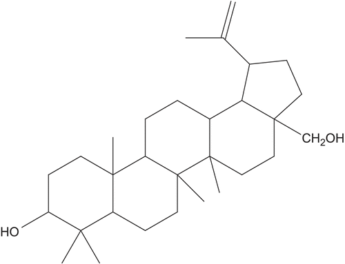 Figure 1.  Structure of betulin, isolated from Colliguaja integerrima.